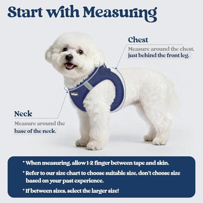 rabbitgoo Dog Harness Small Sized and Leash Set, Step-in Puppy Pet Vest