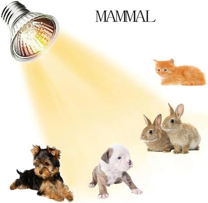 WIONBE 4 Pack E26 25W UVA+UVB Reptile Heat Lamp Bulb Heat Lamp for Food
