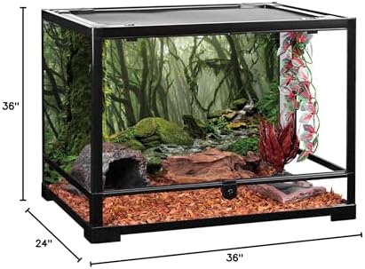 36x24 in Terrarium Backdrop Foggy Forest Stream Reptile Habitat Background