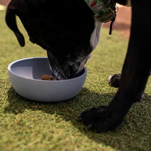 Loving Pets - Dolce Bamboo - Eco-Friendly Pet Bowls & Dishes for Dog, Cats, Puppy Food and Water Bowl -Sustainable and Dishwasher Safe, Made with Real Bamboo (Medium, Slate-Grey)
