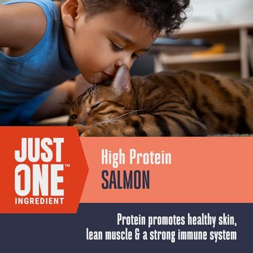 Whole Life Cat Just One Salmon Freeze Dried Cat Treats - Human Grade High Protein Food, Healthy Training Snacks, Freeze Dried Salmon Food Toppers, USA Made Natural Treats - 8 oz (Pack of 1)