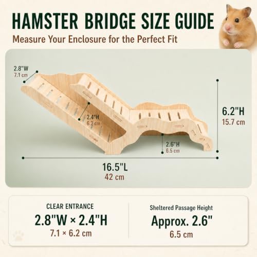 Large Size Syrian Hamster Explorer Set - Snap-Together Wooden Burrow with Panoramic Window,Natural Chew-Safe Design Decorative Landscaping Digging Peeping Hide Underground Fun for Cage Enrichment