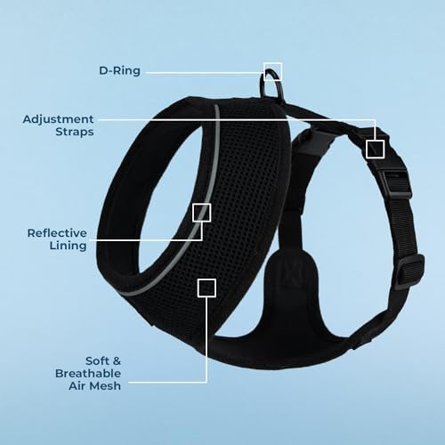 Best Pet Supplies Voyager Aerolite Over the Head Dog Harness, No Pull Breathable Air Mesh Vest, Quick Dry with Reflective Stitching, Adjustable Escape Resistant Harness - Black, Small