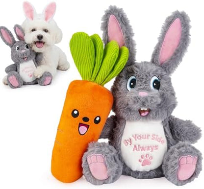 Squeaky Dog Toys for Small & Medium Dogs - Keep Them Happily Playing