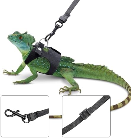 3PCS Bearded Dragon Harness and Leash Set | 3 Size Adjustable Reptile Leash