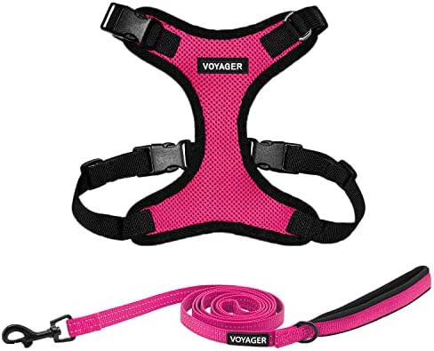 Best Pet Supplies Voyager Step-in Lock Pet Harness w Reflective Pet Leash Combo Set with Neoprene Handle 5ft - Supports Small, Medium and Large Breed Puppies/Cats - Fuchsia/Black Trim Set, M