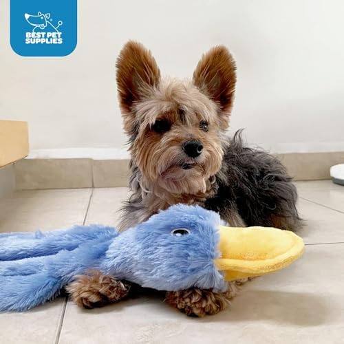 Best Pet Supplies Interactive Squeaky Dog Toy - Crinkle Duck Set