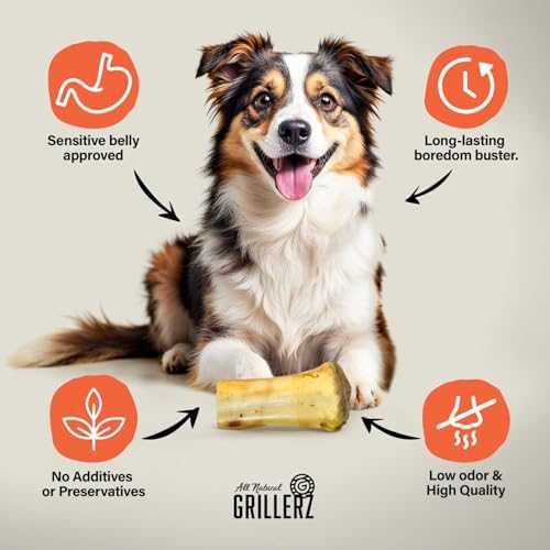 Grillerz 7 in Small Shank Bone, Rawhide-Free