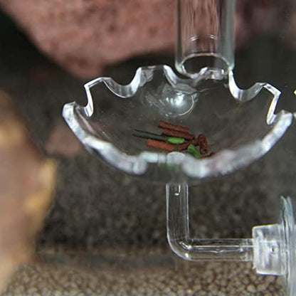 Bilindasly Acrylic Shrimp Feeding Dish Floral Shrimp Bowl Aquarium Transparent Feeder Container with Suction Cup for Aquarium Fish Tank