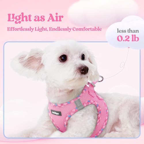 rabbitgoo Dog Harness Medium Sized and Leash Set, Step-in Puppy Pet Vest