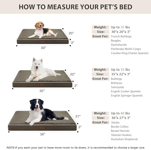 WNPETHOME Orthopedic Waterproof Large Sized Senior Dogs Bed for Comfy Sleep