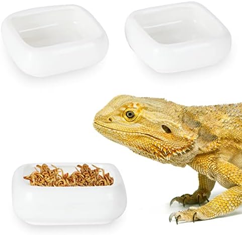 Ceramic Reptile Food Bowls, Reptile Water Food Dish (White, Medium-2Pack)