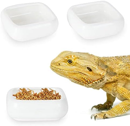 Ceramic Reptile Food Bowls, Reptile Water Food Dish (White, Medium-2Pack)