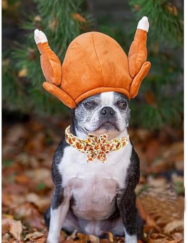 Dog Collar Thanksgiving Day Holiday Turkey Print Pet Collar Soft Cute Dog Collars with Flower Adjustable Metal Buckle Collar for X-Large Dogs