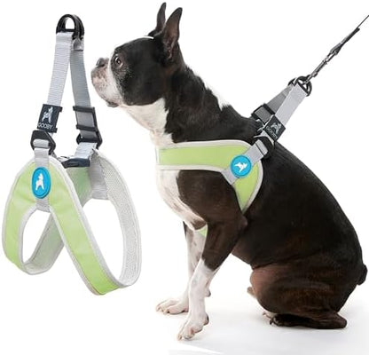 Gooby Simple Step-in III Dog Harness, Green, Small
