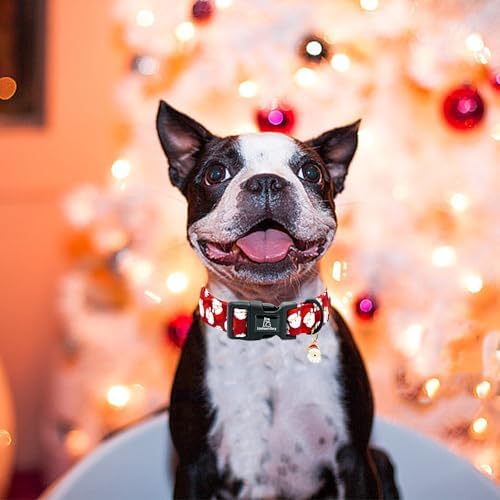 Lionheart Glory Christmas Dog Collar Red Santa Claus Dogs Collar - Adjustable Safety Soft Collars for Medium Dogs Puppy Girl or Boy Xmas Pet Collars Holiday