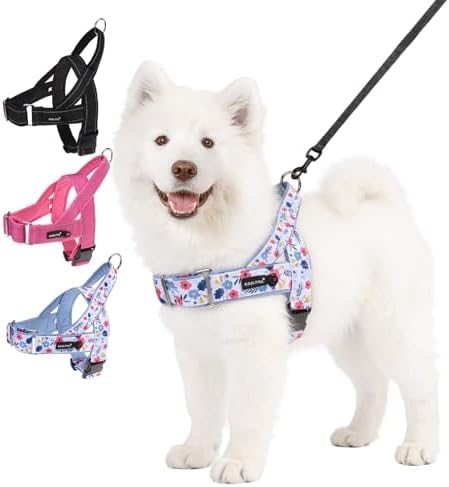 KOOLTAIL No Pull Harness Large Size Dog with Handle, Easy Walk Puppy Vest Harness Neck & Chest Soft Paded Adjustable, Reflective & Lightweight Escape Proof Breathable Mesh Pet Running Harness, Blue L