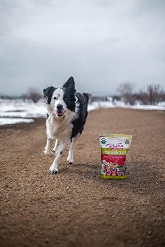 Tender & True Pet Nutrition Farmers Market Recipe Freeze Dry Raw Dog Food, 1 lb.