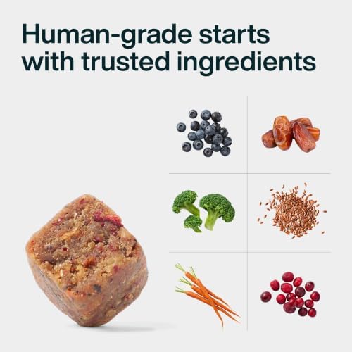 JustFoodForDogs 10-in-1 Supplement for Dogs, Dog Multivitamin Chews - 45 Ct