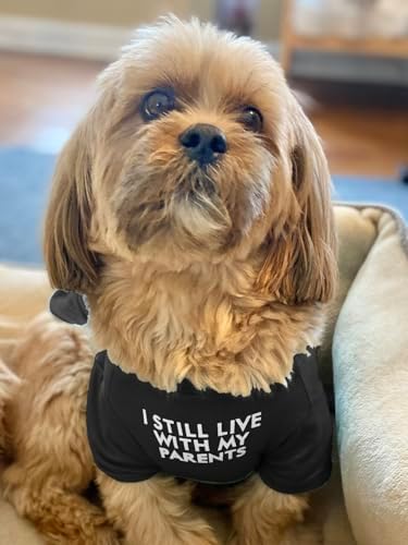 Cute Dog Clothes, T Shirt for Medium and Small Dogs Girl Boy,Puppy.Breathable Soft Dog Costume for Pet Dogs Cats, Pet Pullover Jumper, Cat Clothes XL-(16~20lb),Chest~20",Black,Parents