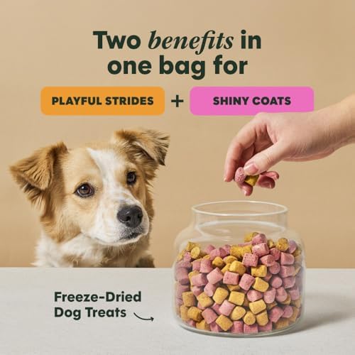 Instinct Duos Movin' & Groovin', Freeze Dried Treats, Chicken, 4 oz.