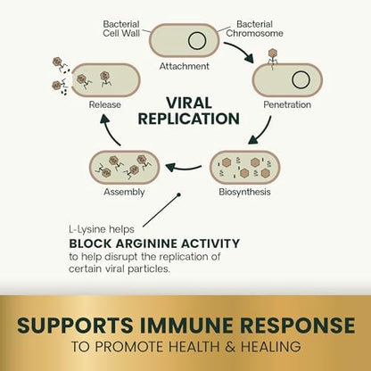 VetriScience Lysine Immunity Health Chews, 250 mg Lysine Plus Immune Supplement for Cats and Kittens with Allergies, Sneezing, Runny Nose and Watery Eyes, Chicken, 120 Count (Pack of 2)