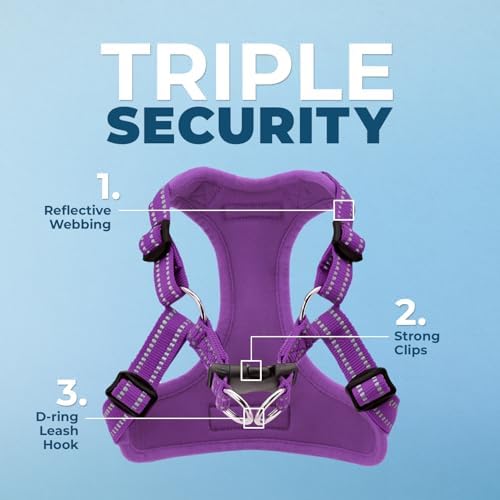 Best Pet Supplies Voyager Adjustable Step-in Flex Breathable Mesh Dog Harness for Small Medium Large Dogs Leash Set (Purple), L
