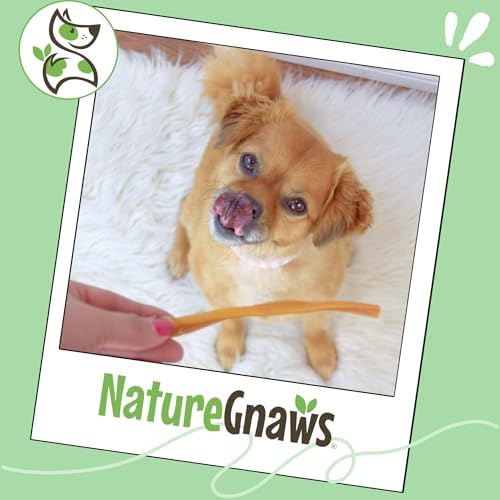 Nature Gnaws Super Skinny Bully Sticks 5-6" Rawhide Free Dog Chew, 40 Count