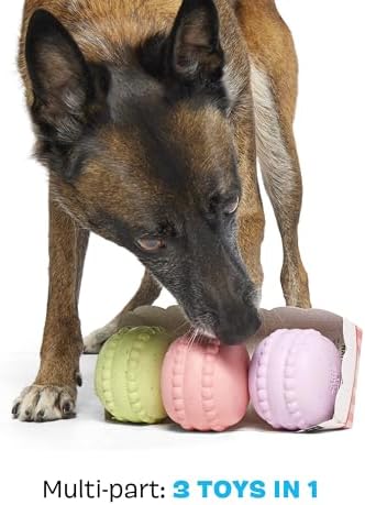 BarkBox Macaruffs Dog Toy - 3-Part - Toy for Medium to Large Dogs