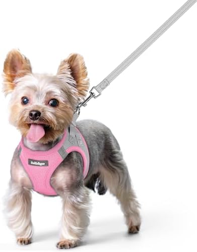 rabbitgoo Dog Harness Small Sized and Leash Set, Step-in Puppy Pet Vest