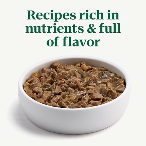 Nutro Hearty Stew Canned Wet Dog Food, Natural Grain Free Dog Food Wet Cuts in Gravy Roasted Turkey with Green Bean & Sweet Potato Stew, 12.5 oz. Cans (12 Count, Pack of 2)