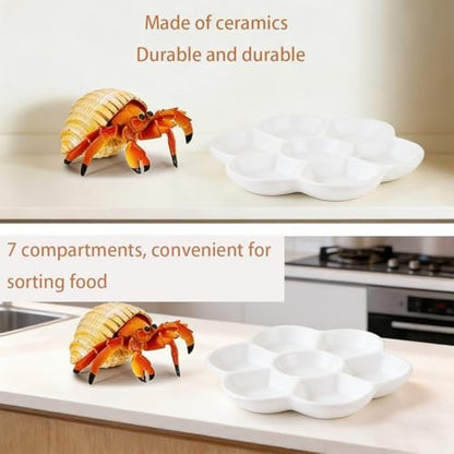 2 Pack Terrarium Bowls, Hermit Crab Water Dishes & Water Bowl