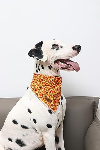 Lionet Paws Fall Dog Bandana for Small Medium Large Dogs, Cat Dog Kerchief Washable Dog Triangle Bibs Scarf for Girl or Boy