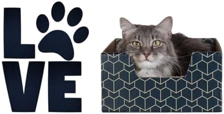 Brightspot Purrfect Cat Box in Blue