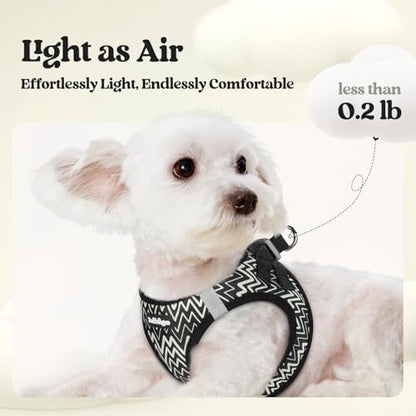 rabbitgoo Dog Harness Medium Sized and Leash Set, Step-in Puppy Pet Vest