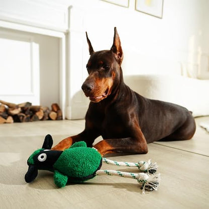Green Sheep Rope Toy for Dogs, Durable Plush Dog Chew Toy with Squeaker, Interactive Pet Toy for Small Medium Large Dogs, Tough Recycle Cotton Rope & PP Cotton Stuffing
