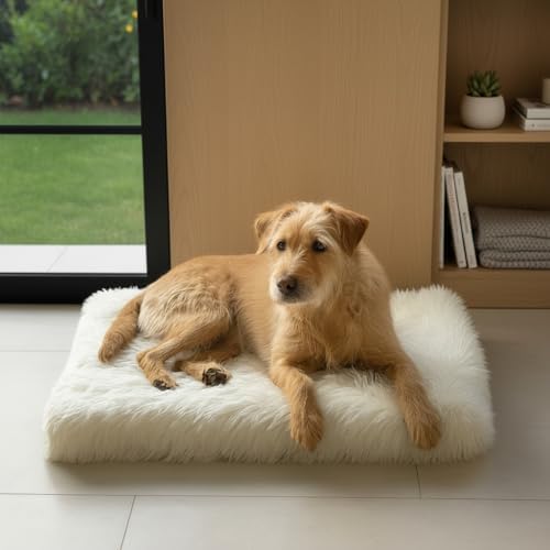 Faux Fur Orthopedic Rectangular Dog Bed, Memory Foam, White Medium 35"x23"