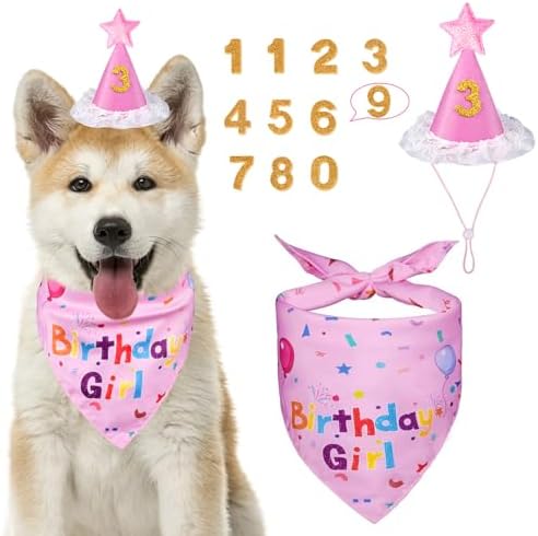 Dog Birthday Bandana Set, Dog Birthday Party Supplies