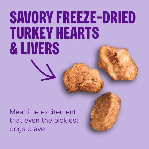 Wellness CORE+ Adult Dry Dog Food with Freeze Dried Pieces, Grain Free Kibble+, Natural, High Protein, Turkey and Chicken Recipe, 4 lb Bag