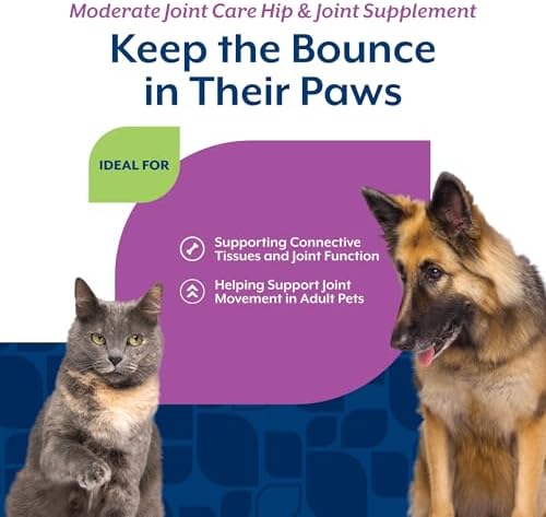 NaturVet Moderate Hip & Joint Care w/Chondroitin & MSM, Dogs & Cats, 120ct