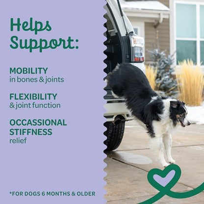 Wholesome Pride Functional Dog Hip & Joint Support Beef Jerky Bites, USA Made Mobility Dog Treats - 8 oz