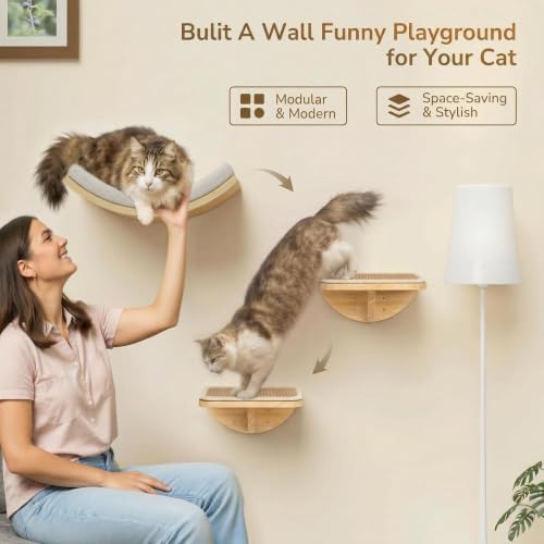 Cat Window Perches, Cat Wall Shelves with Curved Bed and 2 Sisal Mat Steps