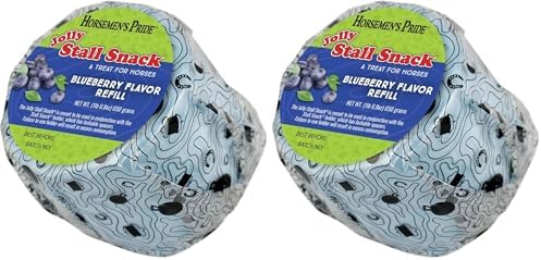 Horsemen's Pride Stall Snack Treat Refill for Horses; Blueberry Flavor (Pack of 2)