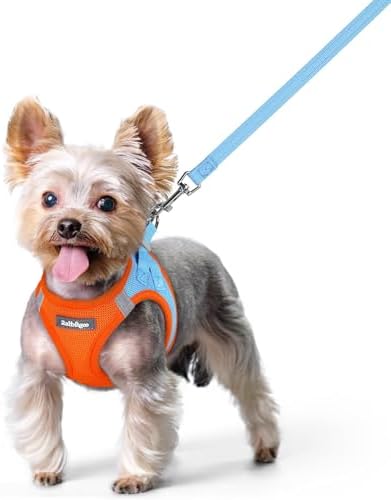 rabbitgoo Dog Harness Small Sized and Leash Set, Step-in Puppy Pet Vest