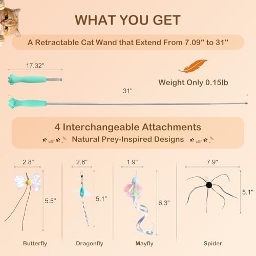 Retractable Cat Wand Toy with 4 Bug-Inspired Feather Refills