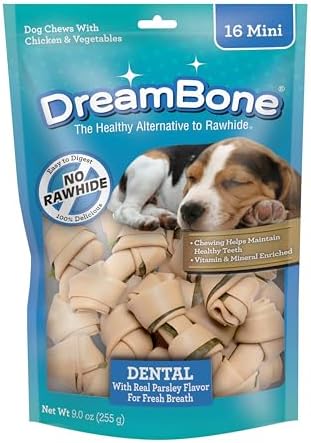 DreamBone Dental Mini Bones Rawhide-Free Dog Treats, 16 Count