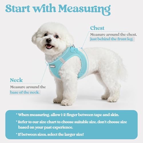 rabbitgoo Dog Harness Medium Sized and Leash Set, Step-in Puppy Pet Vest