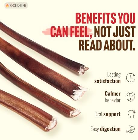 Natural Farm Odor-Free Thin Bully Sticks (12”, 12-Pack) All-Natural Dog Chews, 100% Beef Pizzle, Grass-Fed, Grain-Free, Protein for Muscle Development & Energy, Perfect for Small & Senior Dogs