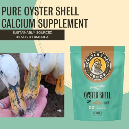 Scratch and Peck Feeds | Oyster Shell Chickens & Ducks | 4 lb Pouch