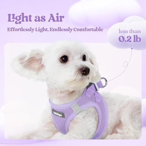 rabbitgoo Dog Harness Small Sized and Leash Set, Step-in Puppy Pet Vest